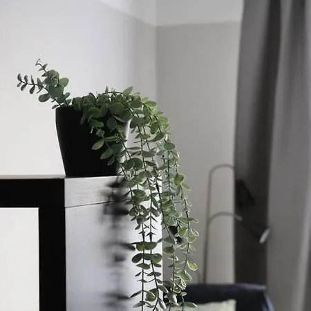 Dzivoklis Ar Skatu Par Aluksni Apartment Alūksne Екстериор снимка