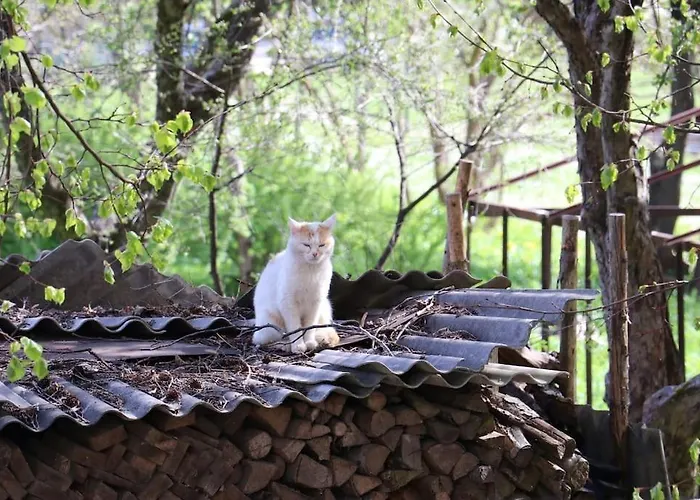 Dzivoklis Ar Skatu Par Aluksni