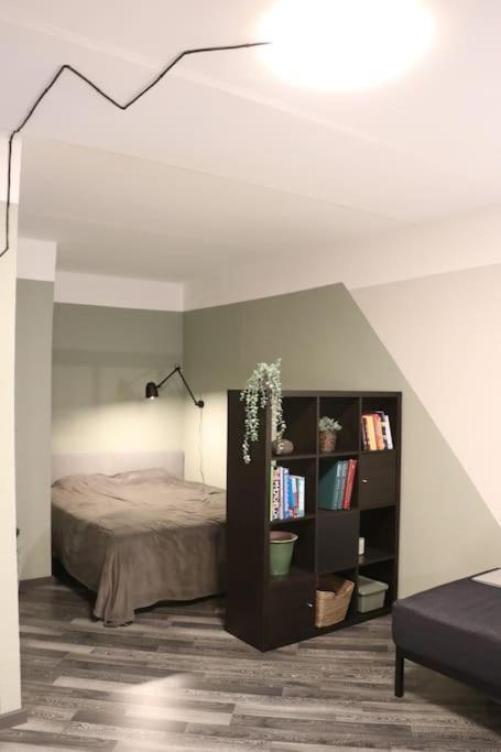 Apartment Dzivoklis Ar Skatu Par Aluksni Aluksne